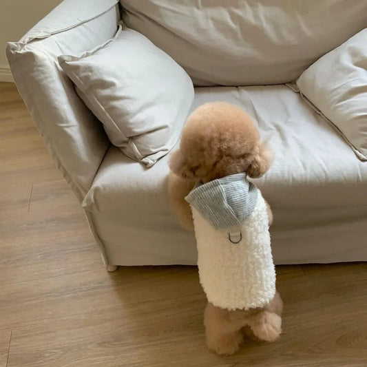 Gilet Teddy